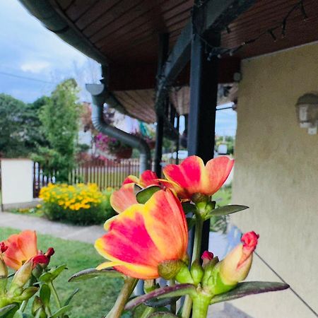Cozy Garden Apartman Daire Gyula Dış mekan fotoğraf