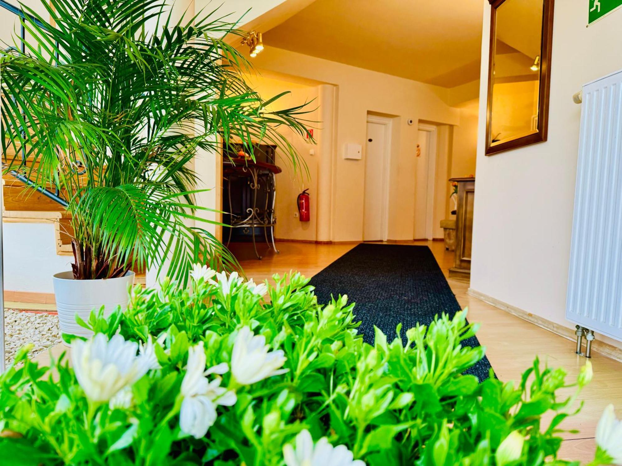 Cozy Garden Apartman Daire Gyula Dış mekan fotoğraf